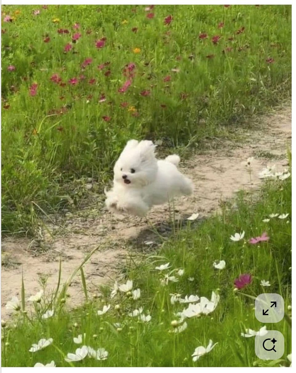 첨부 이미지 1